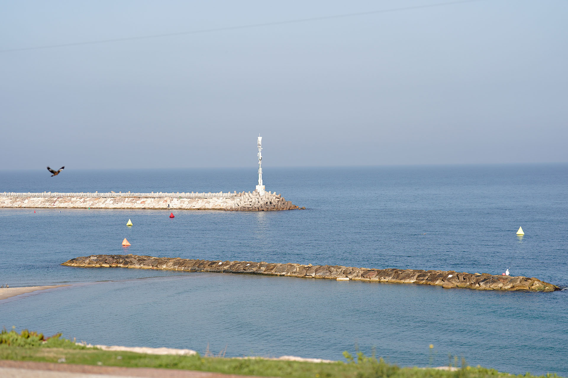 _SA92961